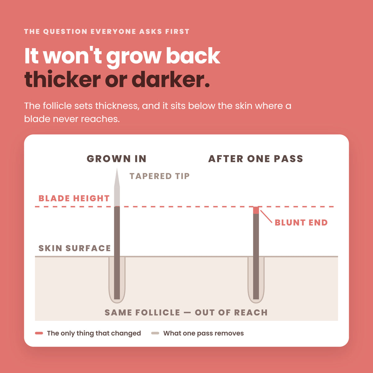 Hair before and after one pass: the follicle sets thickness and sits below the skin, so hair does not grow back thicker or darker