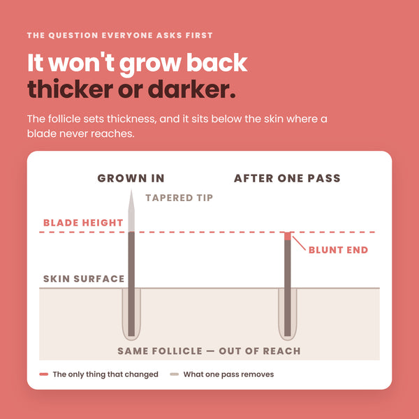 Hair before and after one pass: the follicle sets thickness and sits below the skin, so hair does not grow back thicker or darker